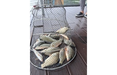 장마철 오름 수위~